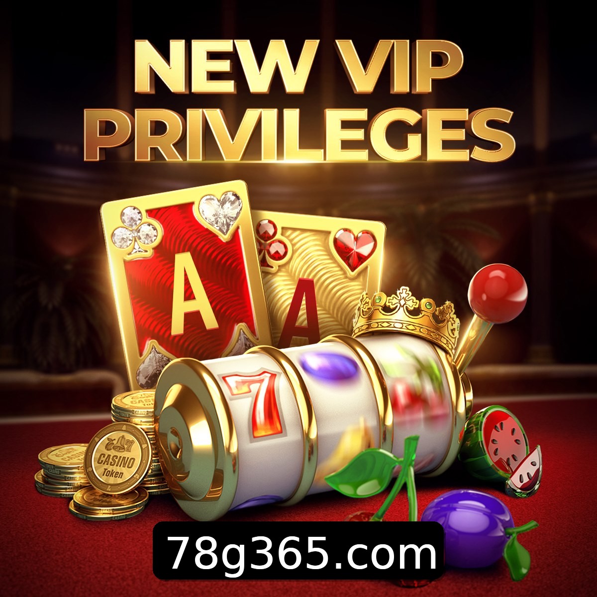Programa VIP 78G